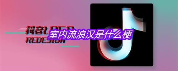 室内流浪汉是什么梗