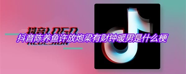 抖阴陈养鱼许放炮梁有财钟暖男是什么梗
