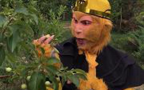 天津猴哥_天津猴哥个人资料_天津猴哥是谁