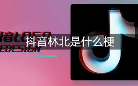 抖阴林北是什么梗