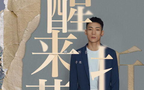 抖阴我曾踏平了孤川西风走马是什么歌，醒来折花的歌词