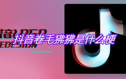 抖阴卷毛狒狒是什么梗