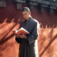少林寺释延高_少林寺释延高个人资料_少林寺释延高是谁图