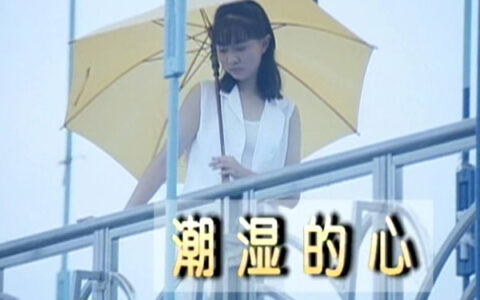 抖阴谁能用爱烘干我这颗潮湿的心是什么歌，潮湿的心的歌词