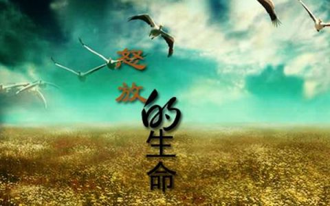 抖阴我想要怒放的生命是什么歌，怒放的生命歌曲介绍