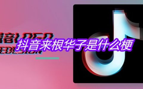 抖阴来根华子是什么梗