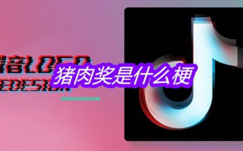 抖阴猪肉奖是什么梗