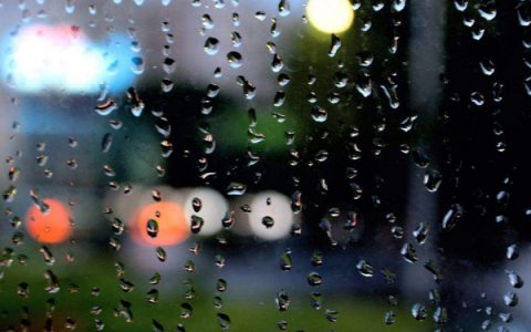 抖阴我等雨也等你打湿缘分的相遇是什么歌，等雨歌曲介绍