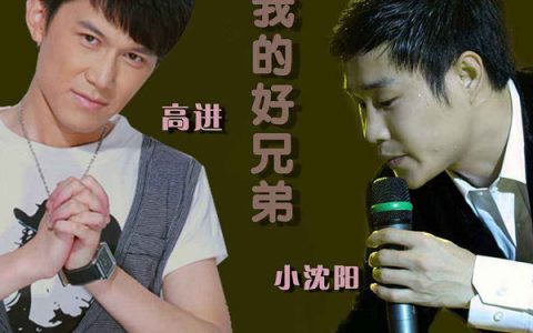 抖阴像一杯酒像一首老歌是什么歌，我的好兄弟歌曲介绍