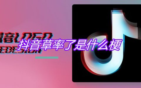 抖阴草率了是什么梗