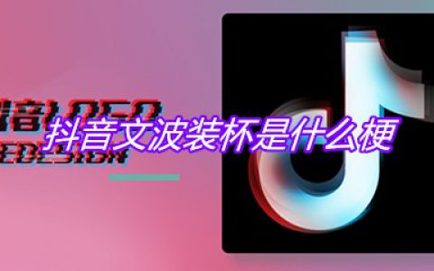 抖阴文波装杯是什么梗