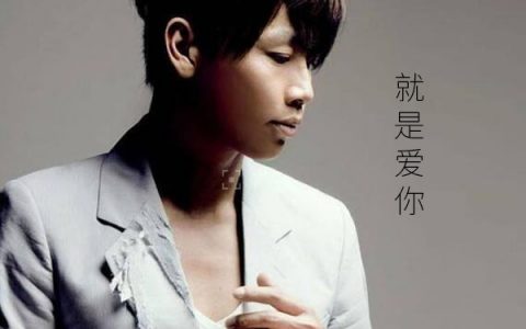 抖阴我一直都想对你说是什么歌，就是爱你歌曲介绍