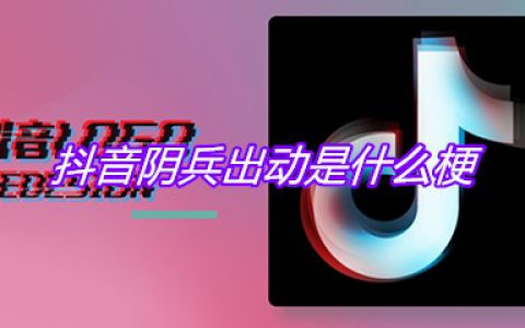 抖阴阴兵出动是什么梗