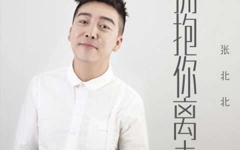 抖阴让我再一次感受你的温柔是什么歌，拥抱你离去歌曲介绍