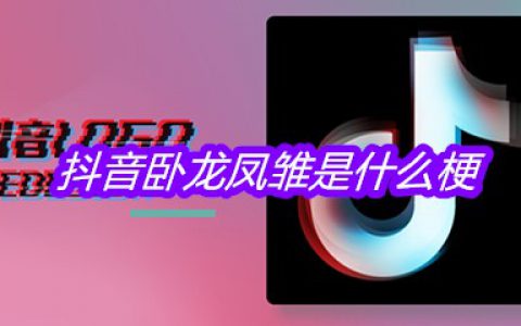 抖阴卧龙凤雏是什么梗