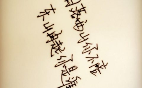 抖阴日落西山你不陪东山再起你是谁是什么歌，东山再起歌曲介绍
