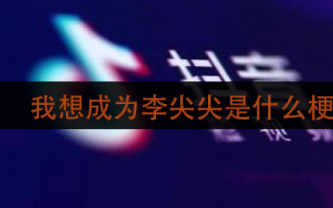 抖阴我想成为李尖尖是什么梗