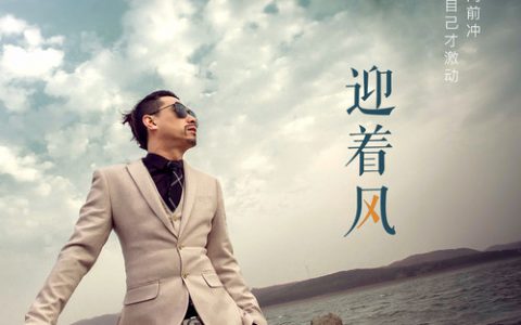 抖阴迎着风向前冲我要做我自己的英雄是什么歌，迎着风的歌词