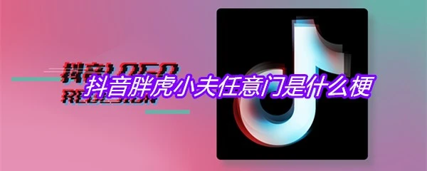 抖阴胖虎小夫任意门是什么梗