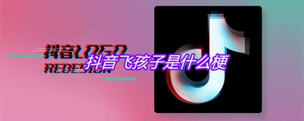 抖阴飞孩子是什么梗