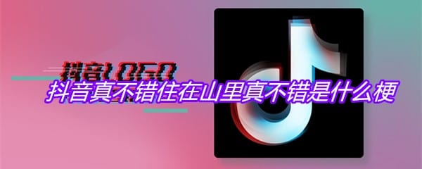 抖阴真不错住在山里真不错是什么梗