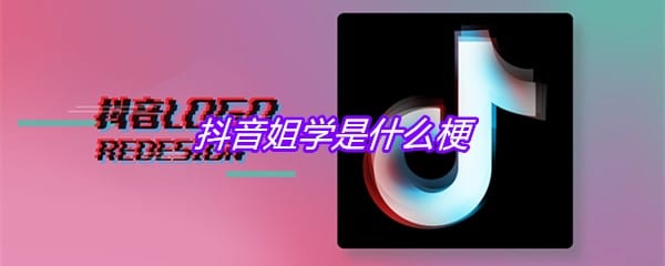 抖阴姐学是什么梗