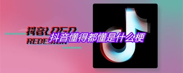 抖阴懂得都懂是什么梗