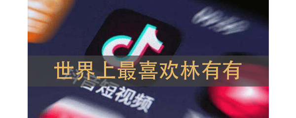 世界上最喜欢林有有是什么梗