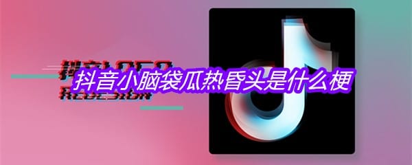 抖阴小脑袋瓜热昏头是什么梗