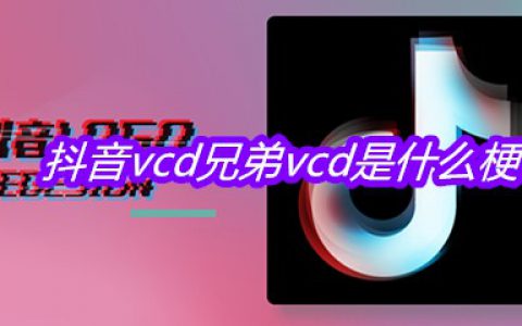 抖阴vcd兄弟vcd是什么梗