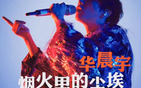 抖阴只有我守着安静的沙漠等待着花开是什么歌，烟火里的尘埃的歌词