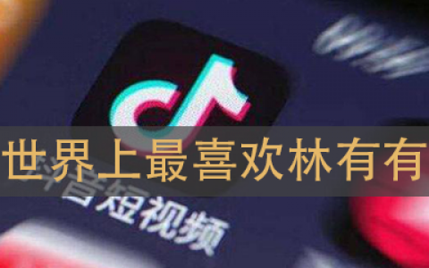世界上最喜欢林有有是什么梗