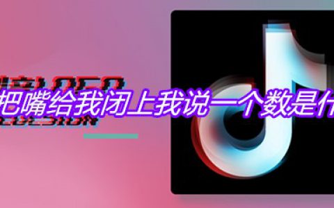 抖阴把嘴给我闭上我说一个数是什么梗