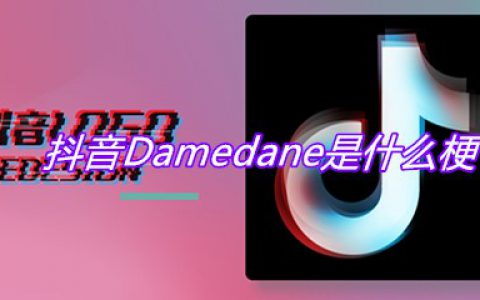 抖阴Damedane是什么梗