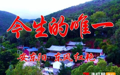 抖阴在最美的年华遇见了你是什么歌，今生的唯一的歌词