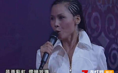 抖阴一切美好只是昨日沉醉是什么歌，风雨彩虹铿锵玫瑰歌曲介绍