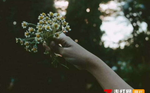 抖阴人生的路有多么漫长一路上收获欢乐悲伤是什么歌，风雨人生路歌曲介绍