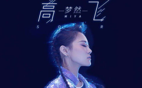 抖阴我想要飞飞跃在云端和山巅之间是什么歌，高飞歌曲介绍