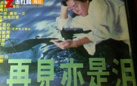 抖阴在那天说浪漫句子是什么歌，再见亦是泪歌曲介绍