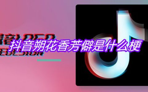 抖阴朔花香芳僻是什么梗