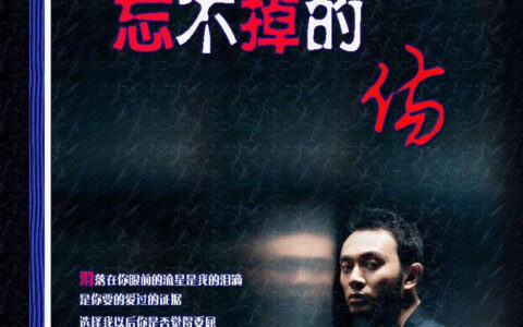 抖阴以后那么多的悲伤那么多的凄凉是什么歌，忘不掉的伤歌词介绍