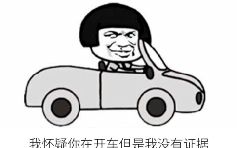 抖阴我怀疑你在开车但是我没有证据是什么意思，我怀疑你在开车是什么梗