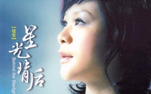 抖阴年轻的时候快乐那么简单是什么歌，星光背后歌曲介绍