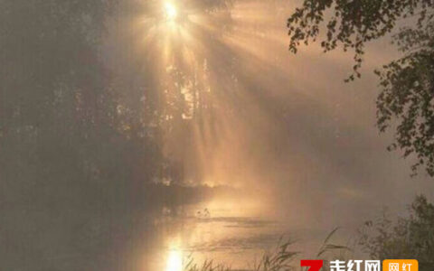 抖阴生亦何欢死亦何苦何为幸福又何为痛苦是什么歌，张雪飞丧歌曲介绍