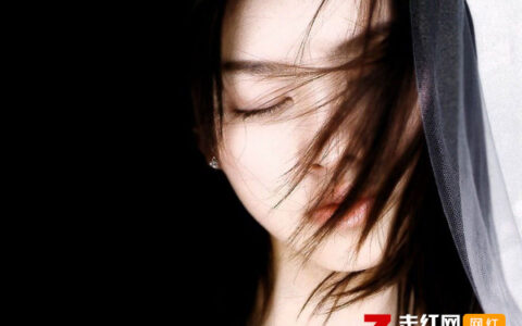 抖阴你从不曾把我放在心上你在意我所想是什么歌，赔偿歌曲介绍