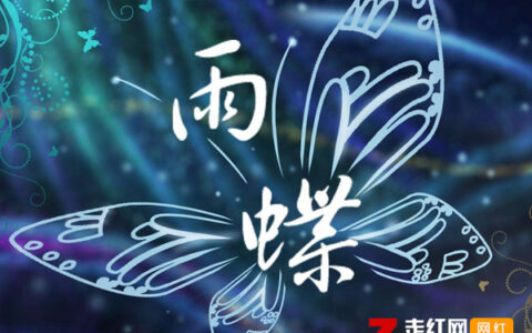 抖阴爱到心破碎也别去怪谁是什么歌，雨蝶歌曲介绍