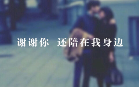 抖阴就算全世界笑我谢谢还有你信我是什么歌，谢谢你信我歌曲介绍