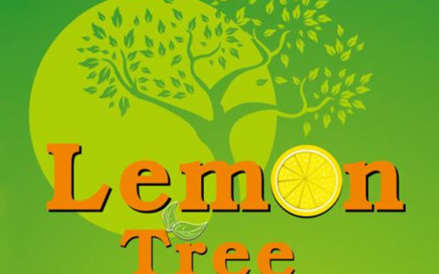 抖阴一个人孤单单的下午是什么歌，lemon tree歌词介绍
