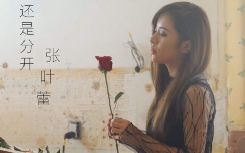 抖阴我和你吵了又吵闹过再闹还是分开是什么歌，还是分开歌词介绍