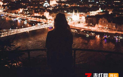 抖阴我爱你爱到放弃是什么歌，余生歌词介绍